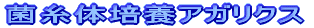 �ێ��̔|�{�A�K���N�X